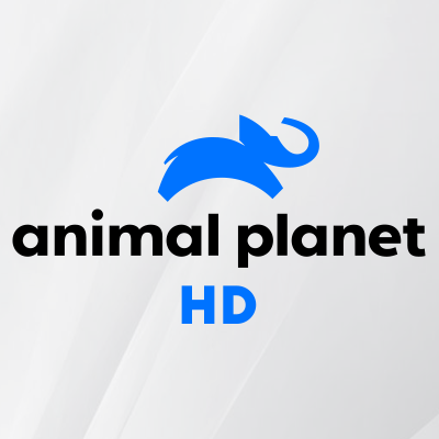 ANIMAL PLANT FHD